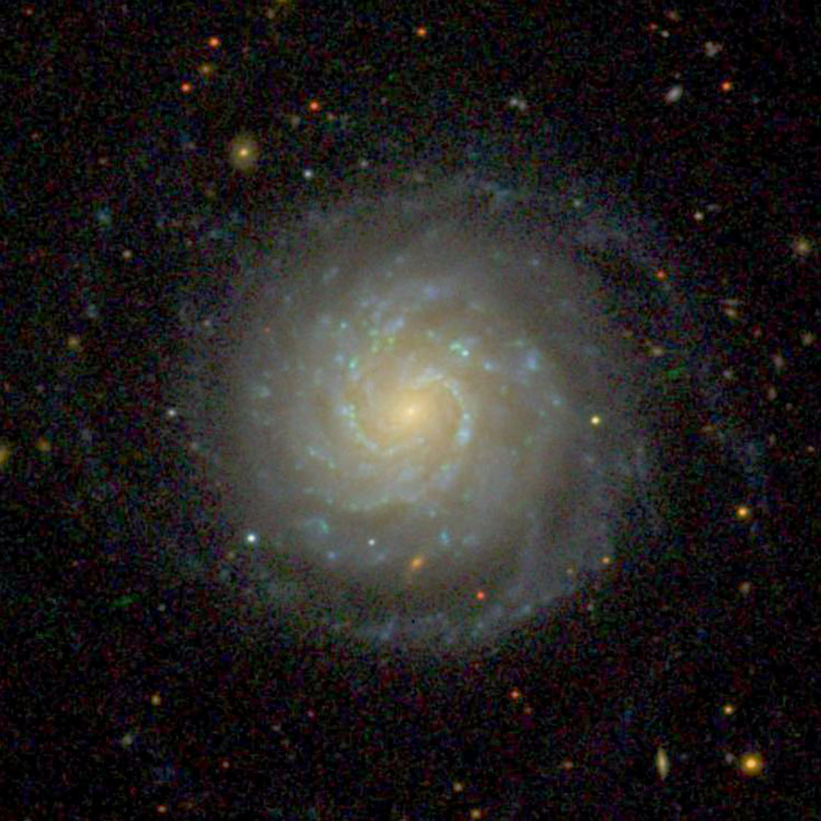 SDSS image of spiral galaxy NGC 2967