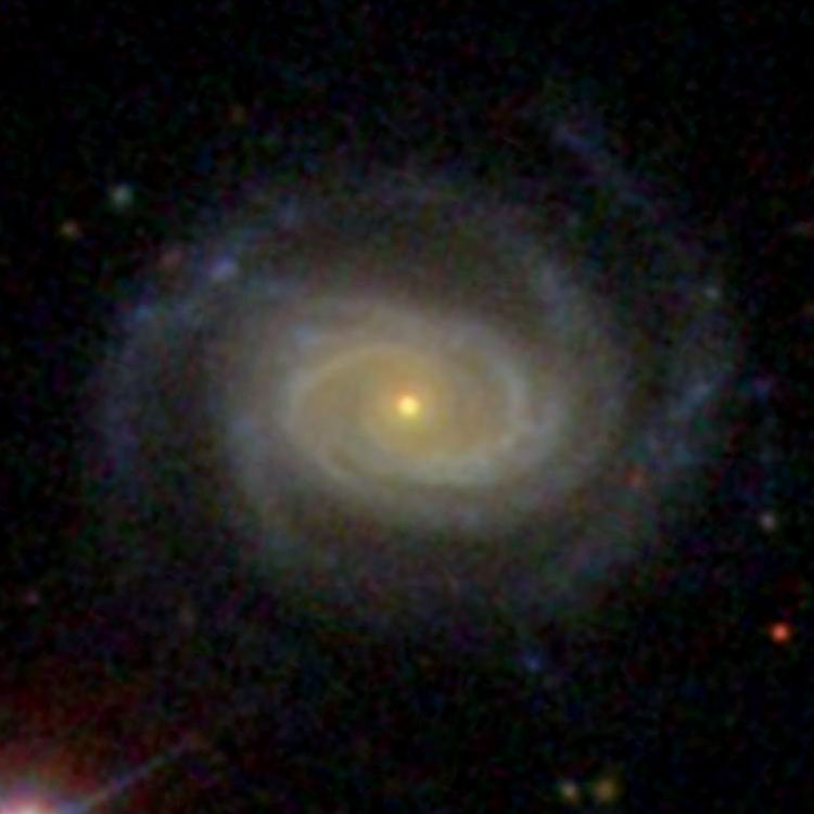 SDSS image of spiral galaxy NGC 2981
