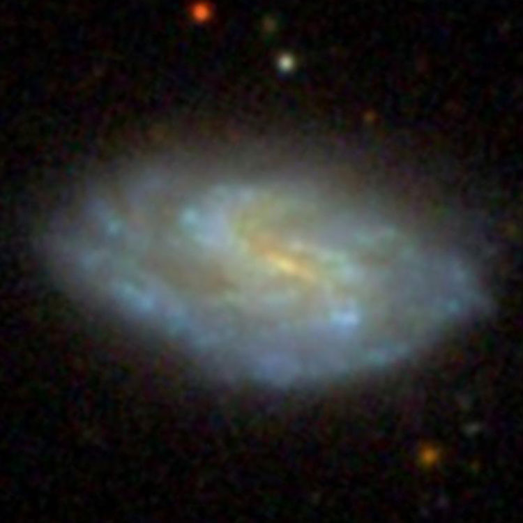 SDSS image of spiral galaxy NGC 2990
