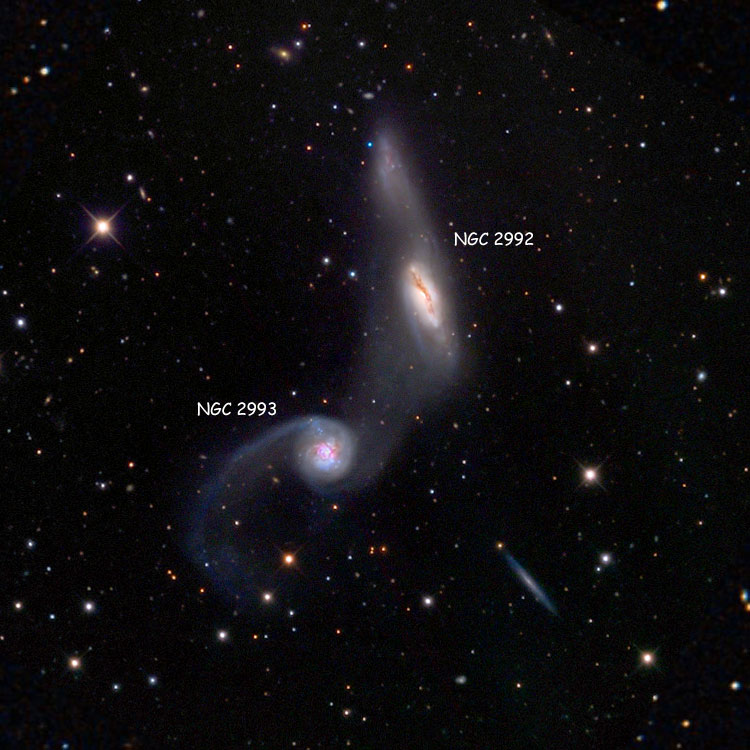 DSS image of region near the interacting pair of spiral galaxies, NGC 2992 and NGC 2993, that comprise Arp 245