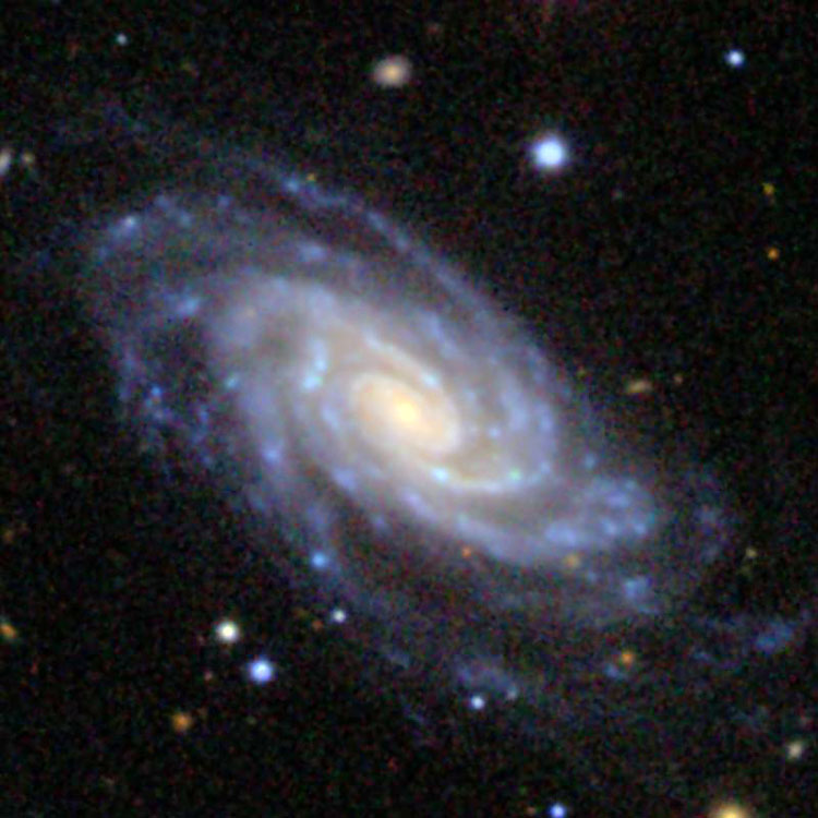 SDSS image of NGC 2298