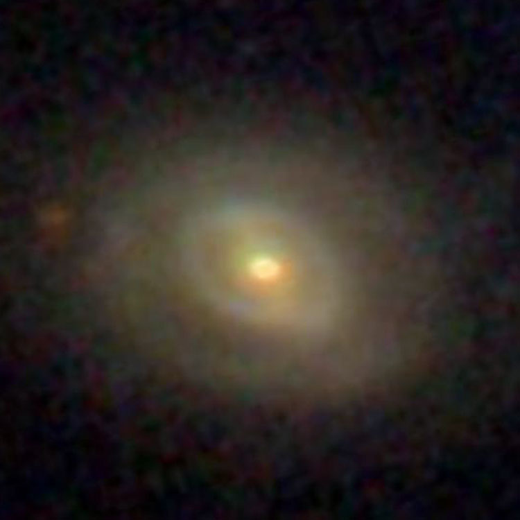 SDSS image of spiral galaxy NGC 3013
