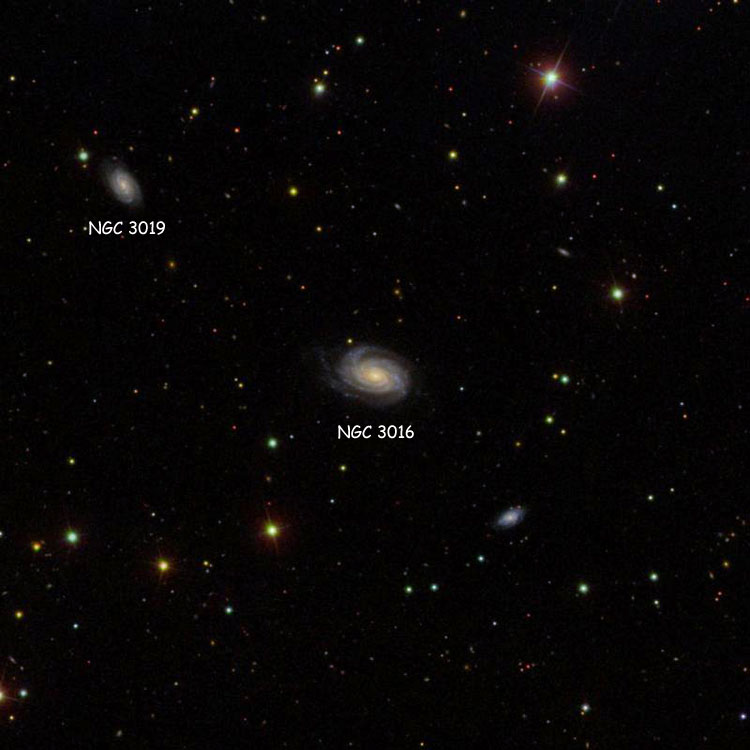 SDSS image of region near spiral galaxy NGC 3016, also showing NGC 3019