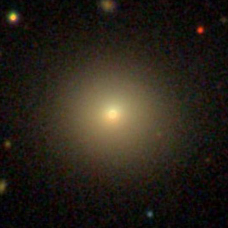 SDSS image of elliptical galaxy NGC 3017