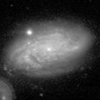 de Vaucouleurs Atlas of Galaxies image of NGC 3021
