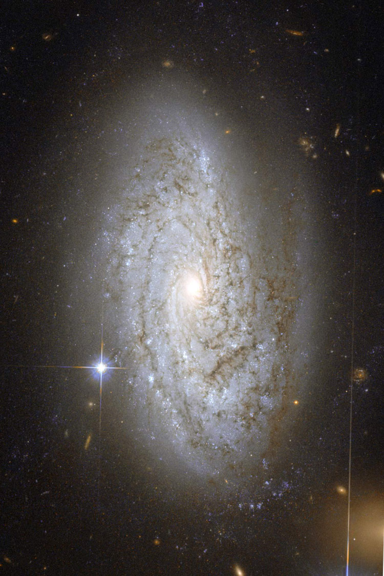 HST image of spiral galaxy NGC 3021