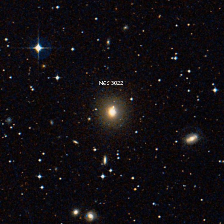 DSS image of region near lenticular galaxy NGC 3022