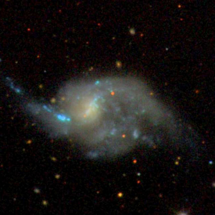 SDSS image of spiral galaxy NGC 3023