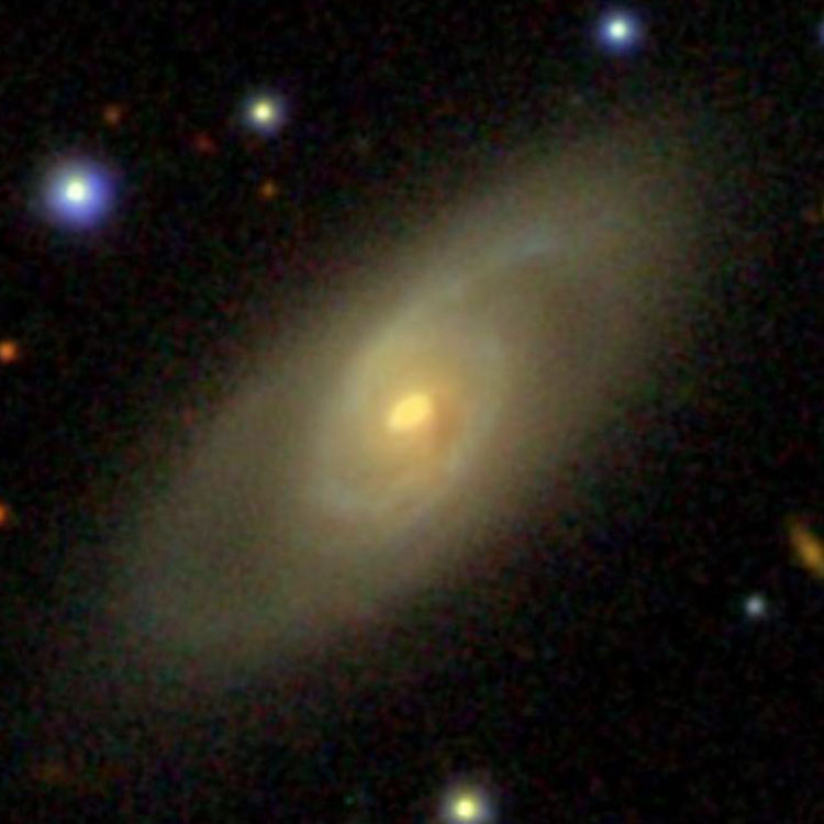 SDSS image of spiral galaxy NGC 3053