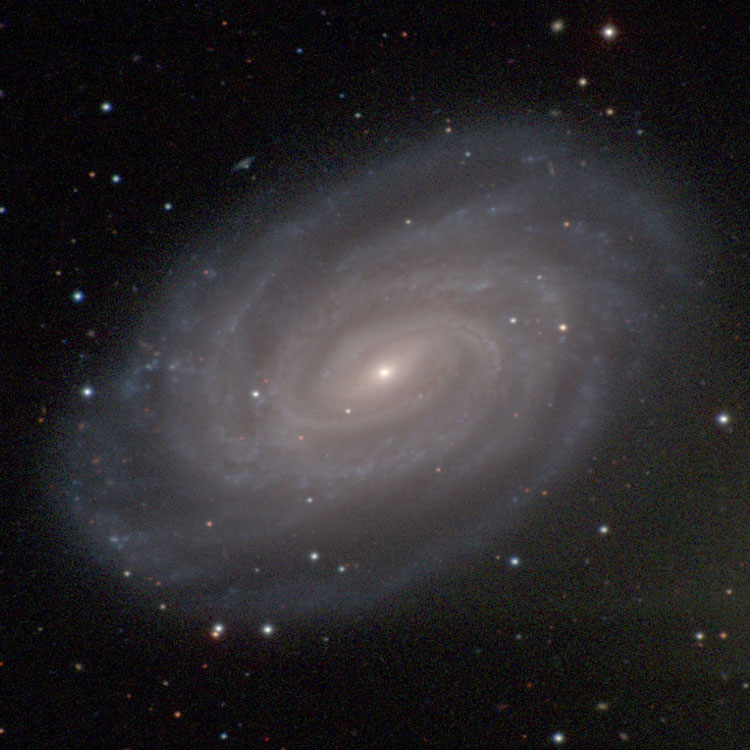 Carnegie-Irvine Galaxy Survey image of spiral galaxy NGC 3054