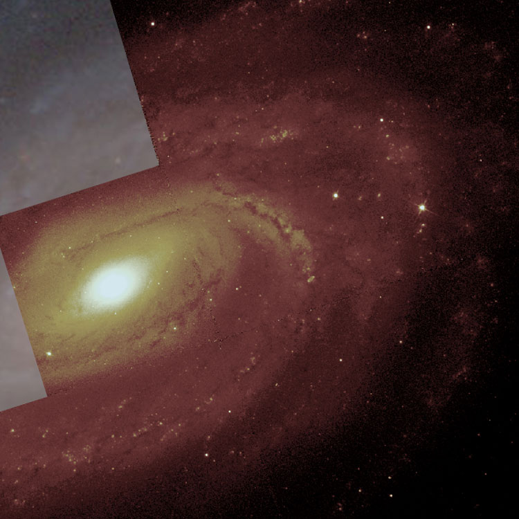 HST image of part o f spiral galaxy NGC 3054 superimposed on a Carnegie-Irvine Galaxy Survey background