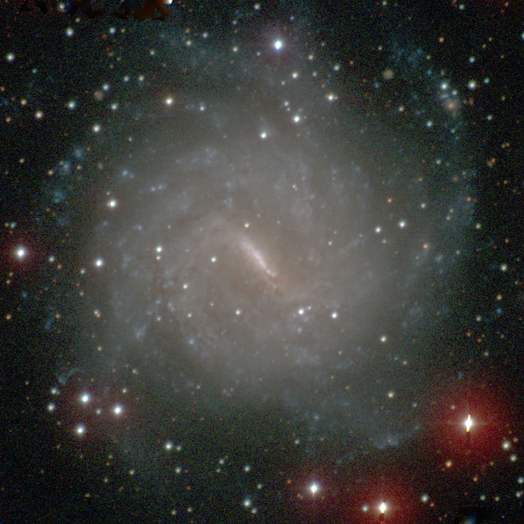 Carnegie-Irvine Galaxy Survey image of spiral galaxy NGC 3059