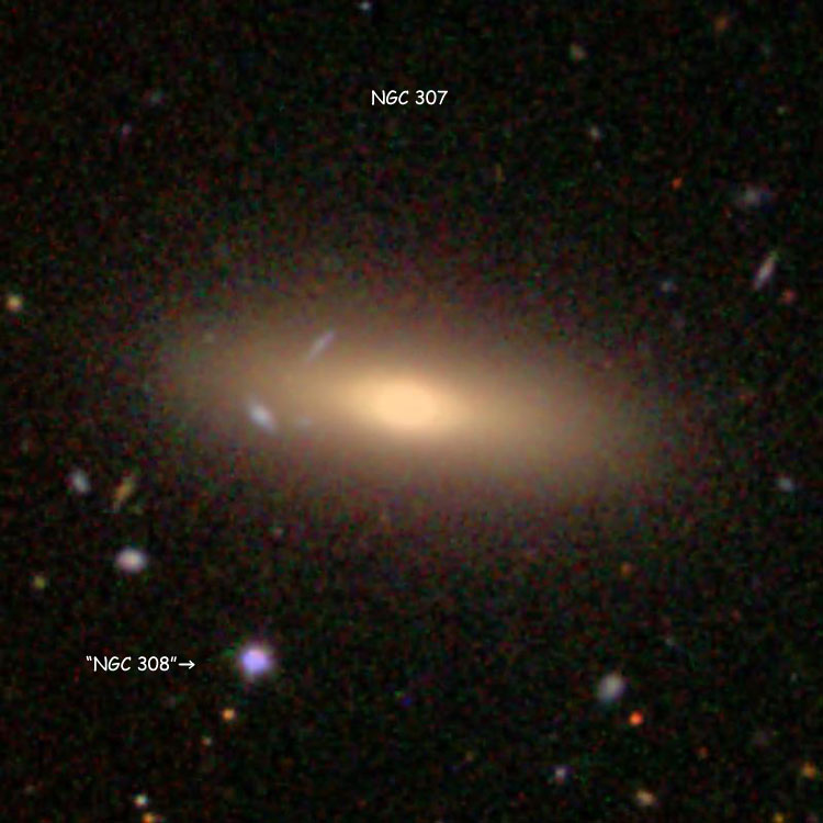 SDSS image of lenticular galaxy NGC 307 and the star listed as NGC 308