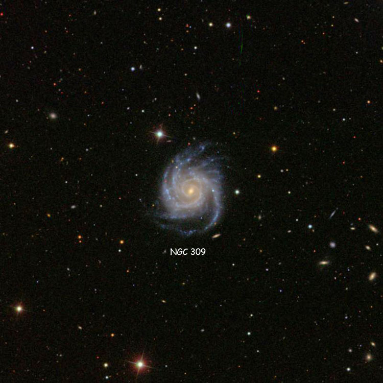 SDSS image of region near spiral galaxy NGC 309