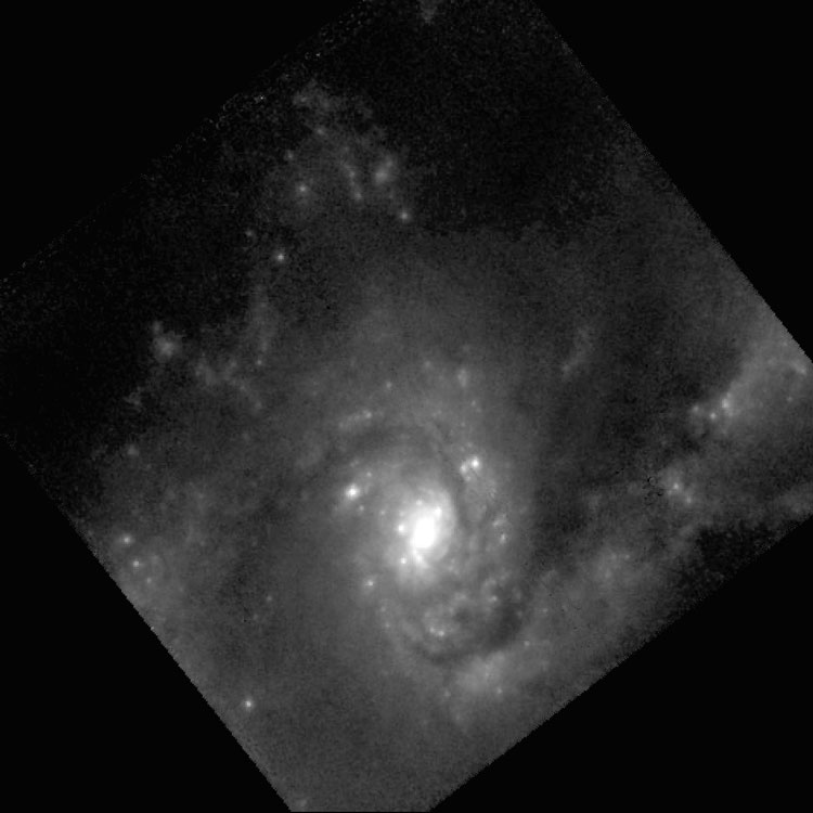 'Raw' HST image of part of the center of spiral galaxy NGC 3110