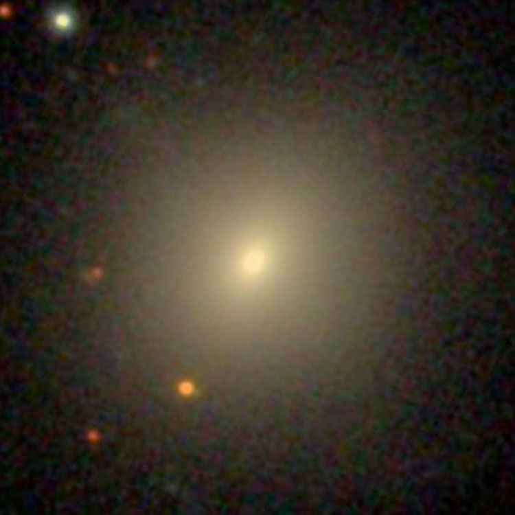 SDSS image of lenticular galaxy NGC 3111