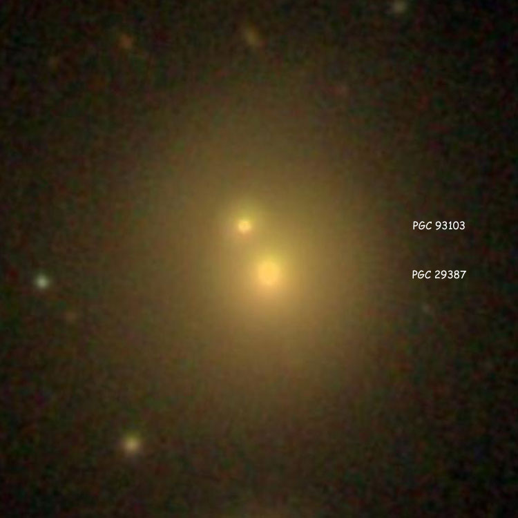 SDSS image of the pair of lenticular galaxies that are probably NGC 3119
