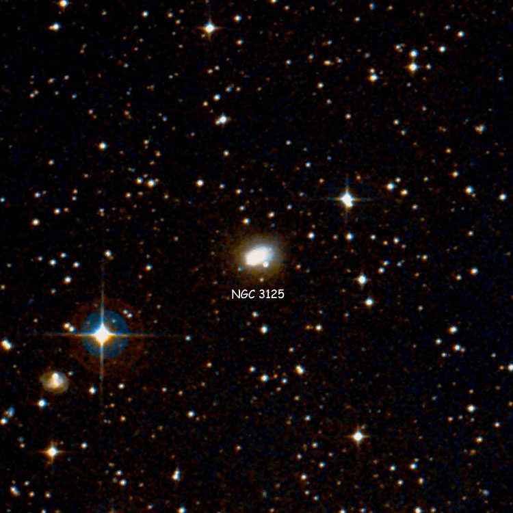 DSS image of region near irregular galaxy NGC 3125