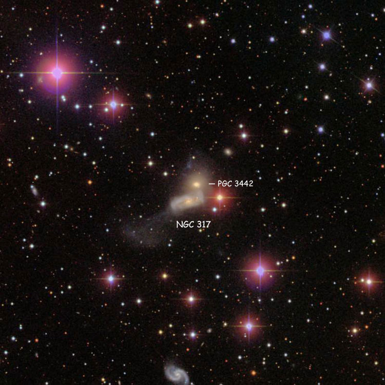 SDSS image of region near spiral galaxy NGC 317 and lenticular galaxy PGC 3442