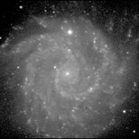 de Vaucouleurs Atlas of Galaxies image of NGC 3184