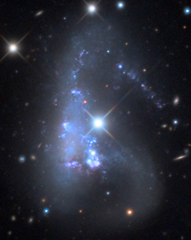 Mount Lemmon SkyCenter image of irregular galaxy NGC 3239, which is also known as Arp 263
