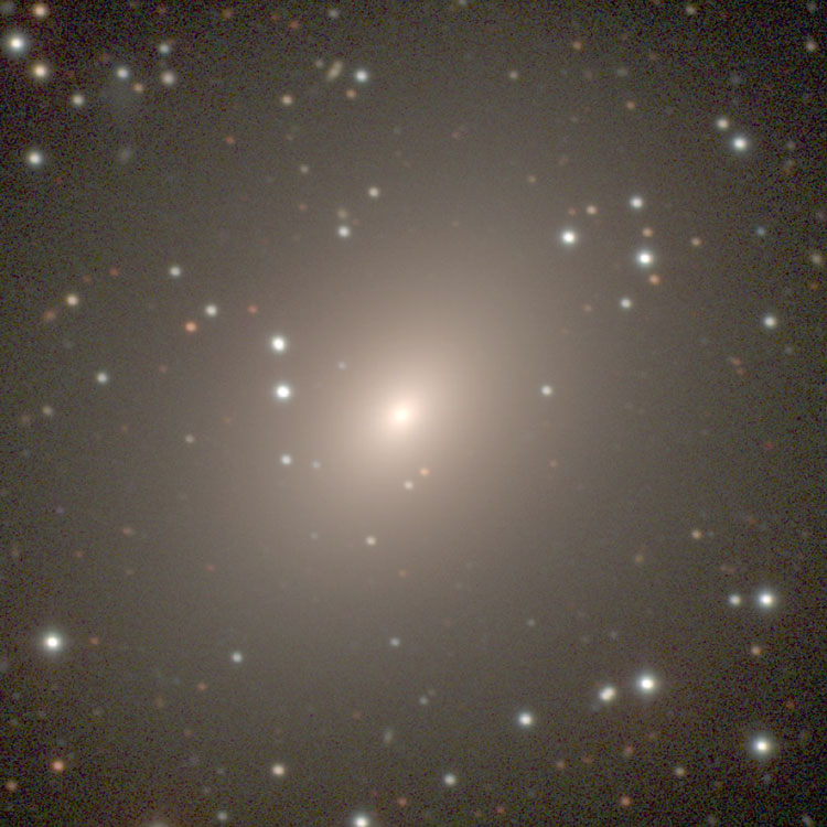 Carnegie-Irvine Galaxy Survey image of  elliptical galaxy NGC 3250