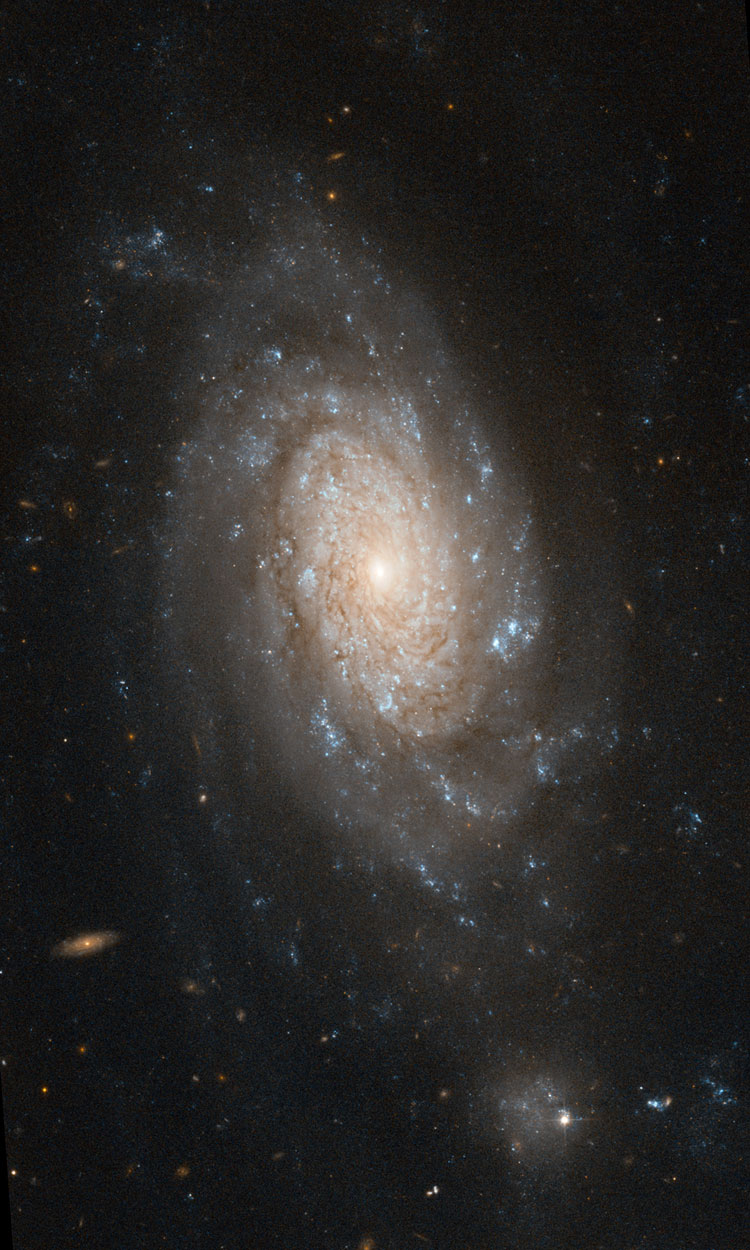 HST image of spiral galaxy NGC 3259