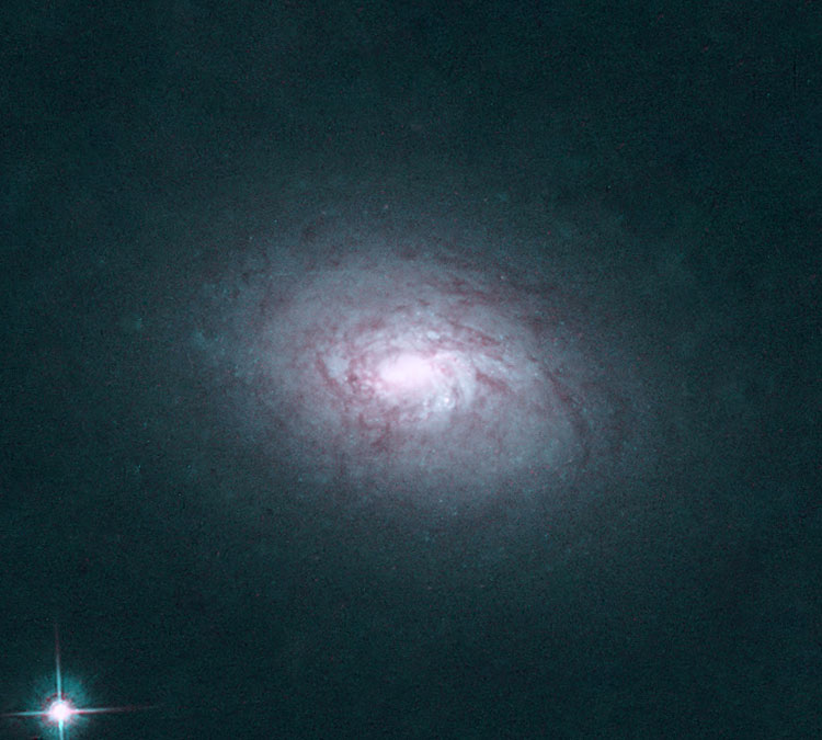 HST image of core of lenticular galaxy NGC 3265