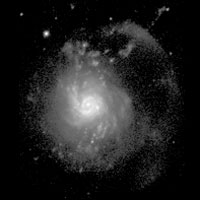 de Vaucouleurs Atlas of Galaxies image of NGC 3310
