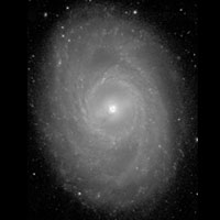de Vaucouleurs Atlas of Galaxies image of NGC 3351
