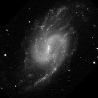 de Vaucouleurs Atlas of Galaxies image of NGC 3359
