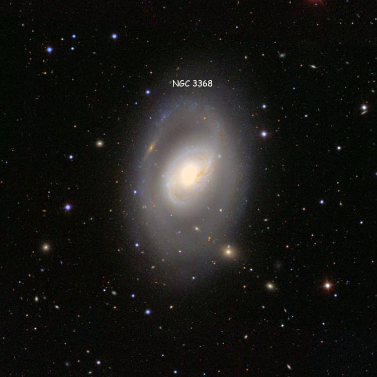 SDSS image of region near spiral galaxy NGC 3368, also known as M96