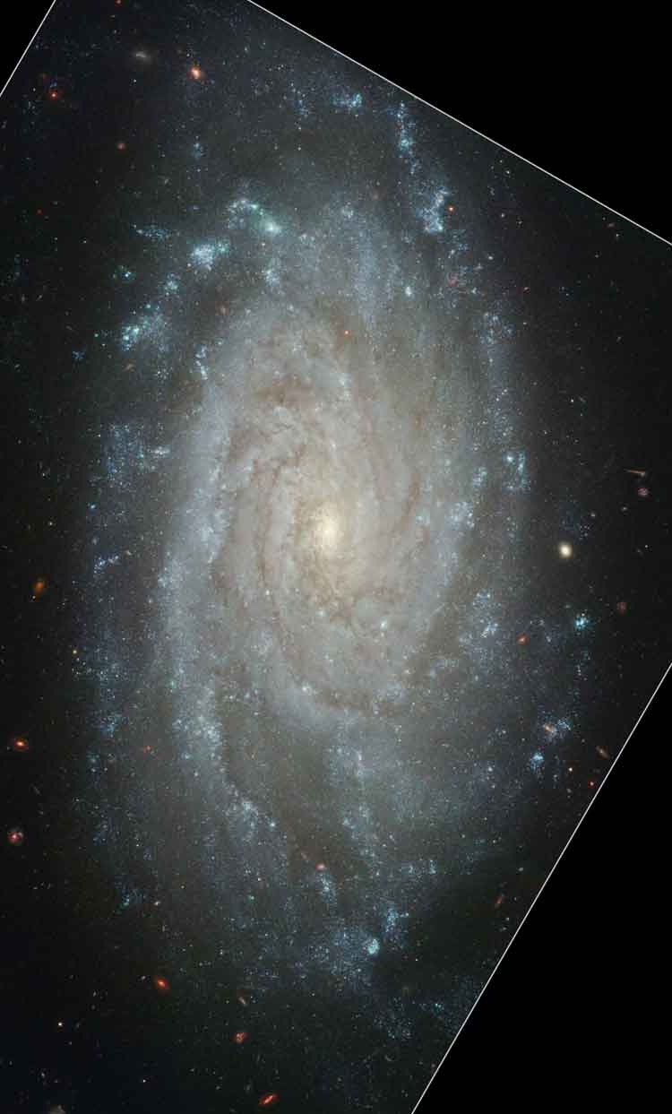HST image of spiral galaxy NGC 3370