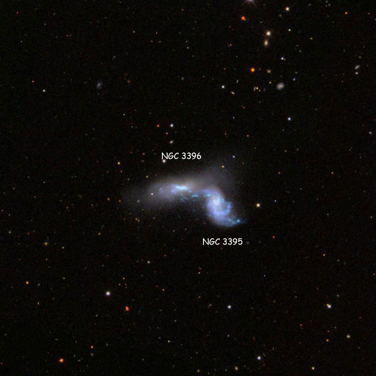 SDSS image of region near spiral galaxy NGC 3395 and irregular galaxy NGC 3396, which comprise Arp 270