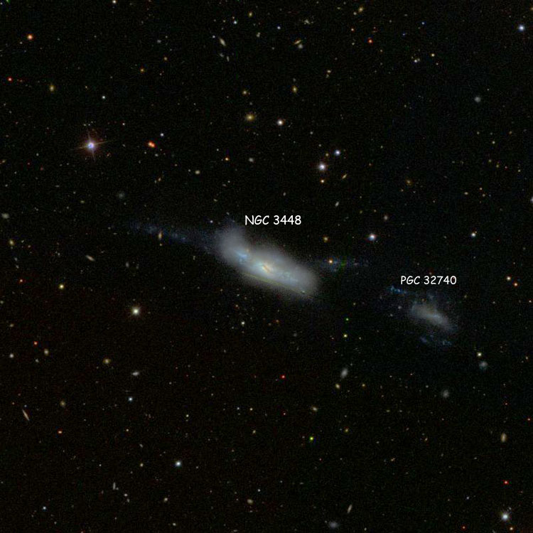 SDSS image of region near irregular galaxy NGC 3448, also showing PGC, with which is it comprises Arp 205