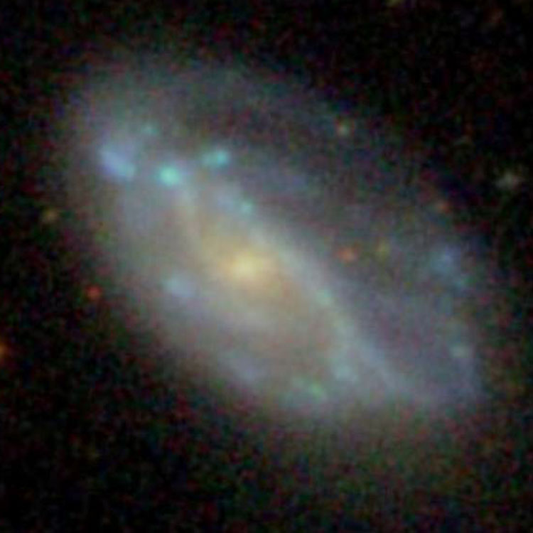SDSS image of spiral galaxy NGC 3559
