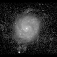 de Vaucouleurs Atlas of Galaxies image of NGC 3596