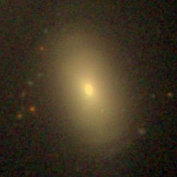 SDSS image of elliptical galaxy NGC 3605