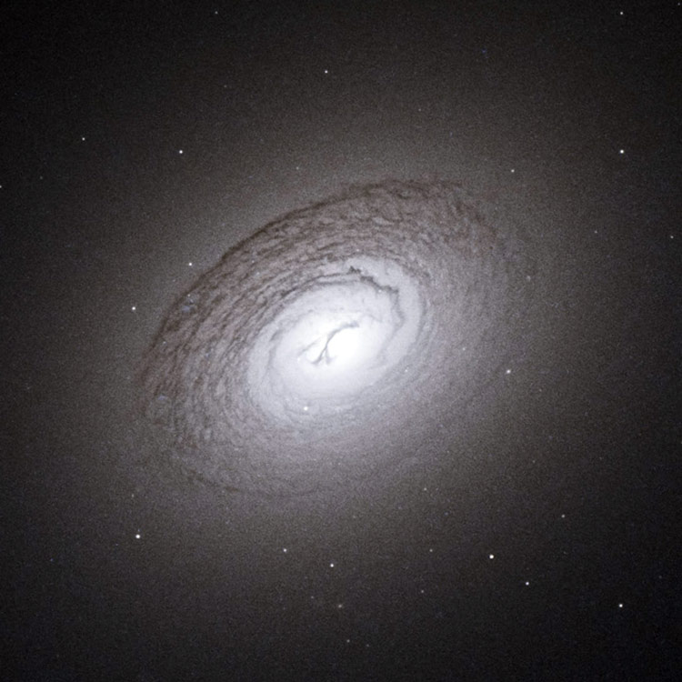 HST image of the dusty core of lenticular galaxy NGC 3607