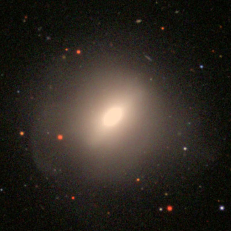 SDSS image of lenticular galaxy NGC 3610