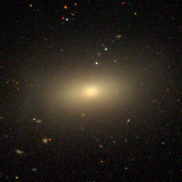 SDSS image of elliptical galaxy NGC 3613