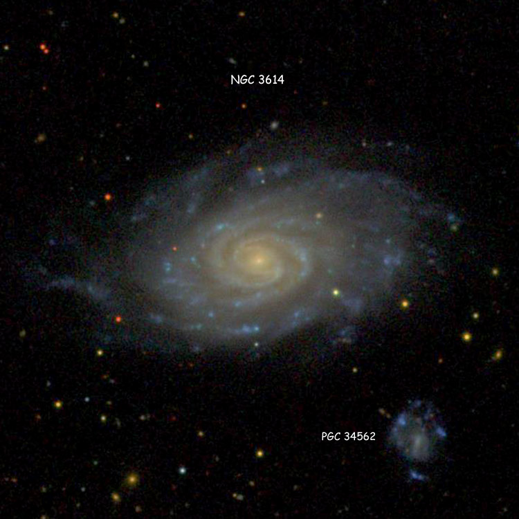 SDSS image of spiral galaxy NGC 3614