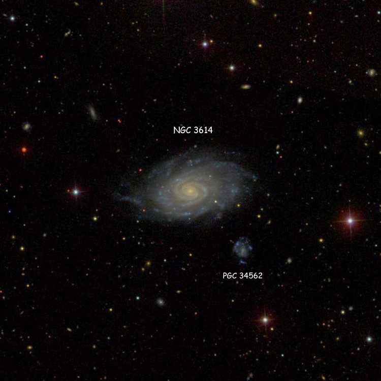 SDSS image of region near spiral galaxy NGC 3614, also showing PGC 34562