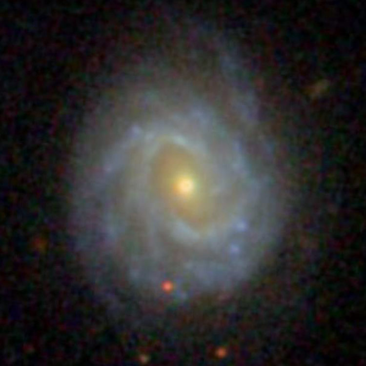 SDSS image of spiral galaxy NGC 3618