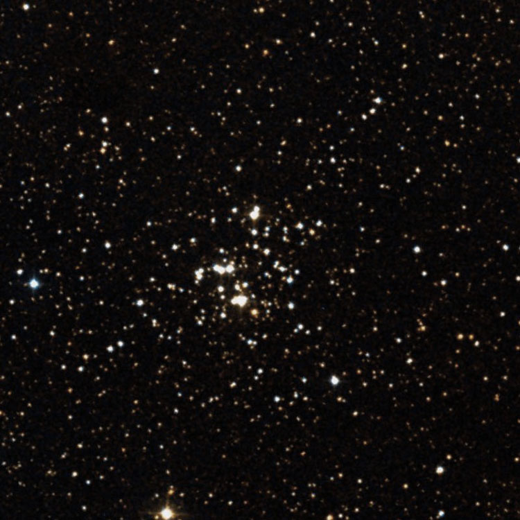 DSS image of region near open cluster NGC 366