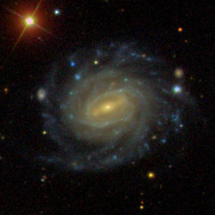 SDSS image of spiral galaxy NGC 3660