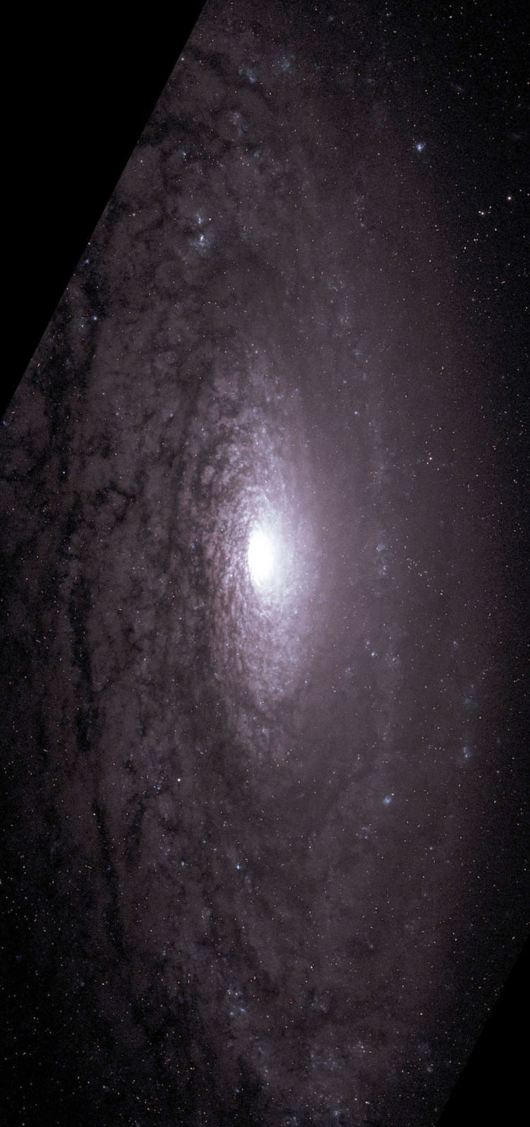 'Raw' HST image of part of spiral galaxy NGC 3675