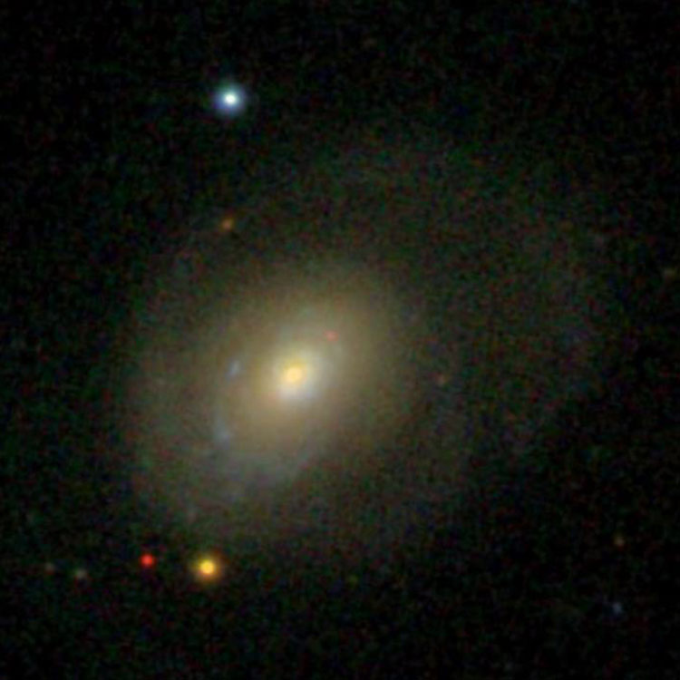 SDSS image of lenticular galaxy NGC 3677