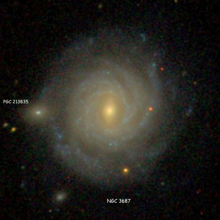 SDSS image of spiral galaxy NGC 3687 and PGC 213835