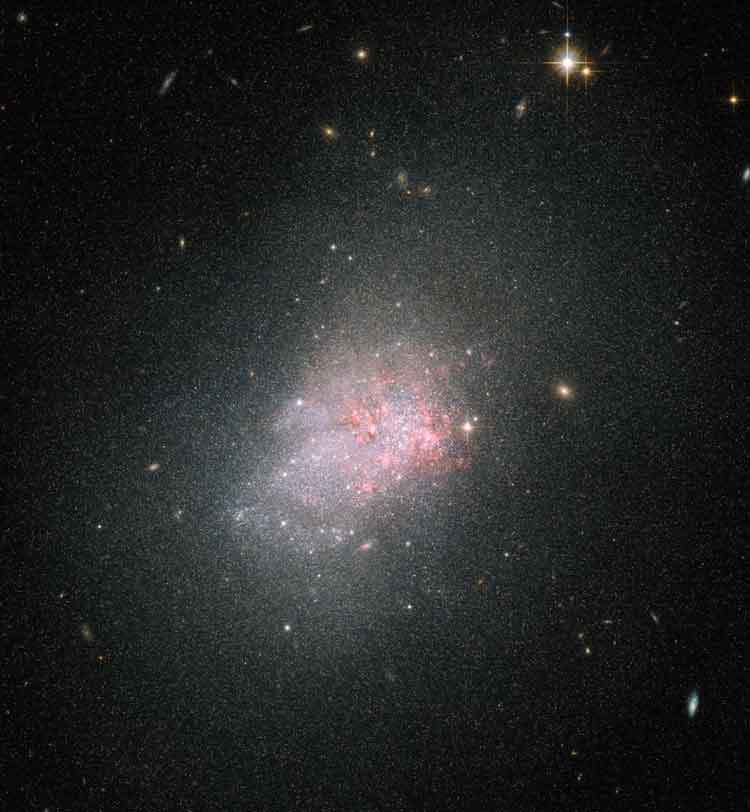 HST image of irregular galaxy NGC 3738
